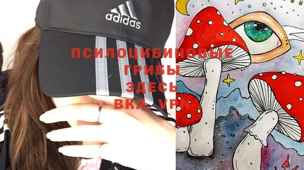 COCAINE Абаза