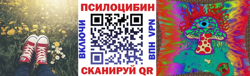 как найти закладки  нарко площадка официальный сайт  Галлюциногенные грибы Magic Shrooms  Азнакаево 