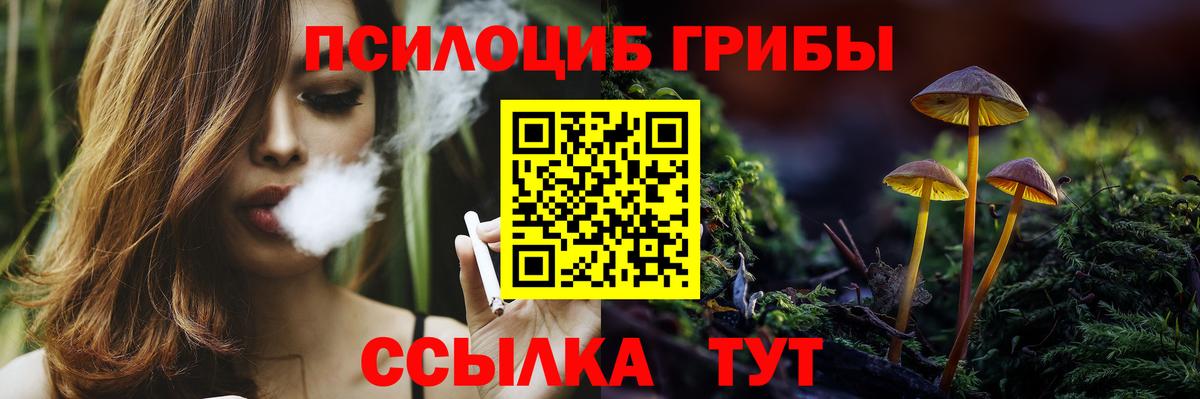 Галлюциногенные грибы Magic Shrooms  Псилоцибиновые грибы прущие грибы  Азнакаево  Вход с VPN 